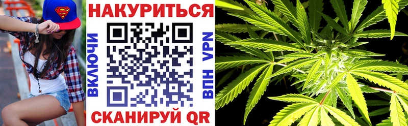 Марихуана сатива  ОМГ ОМГ   Змеиногорск 